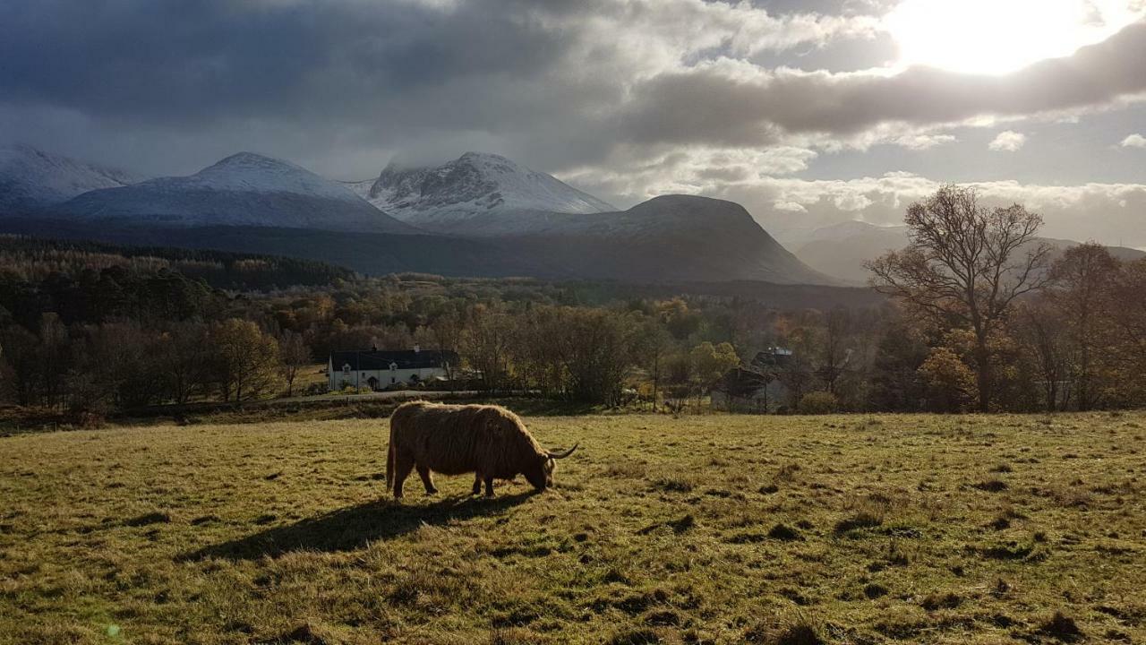 Birch Lodge Fort William Eksteriør bilde